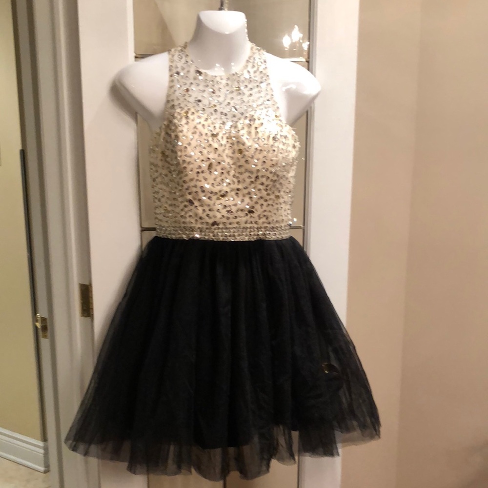 Elegant Black and Cream Sparkle Dress